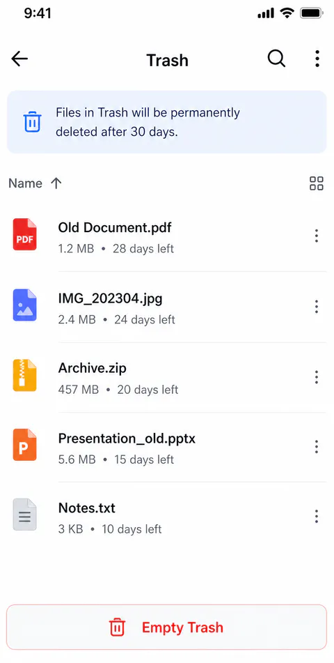 Fileora Details screen